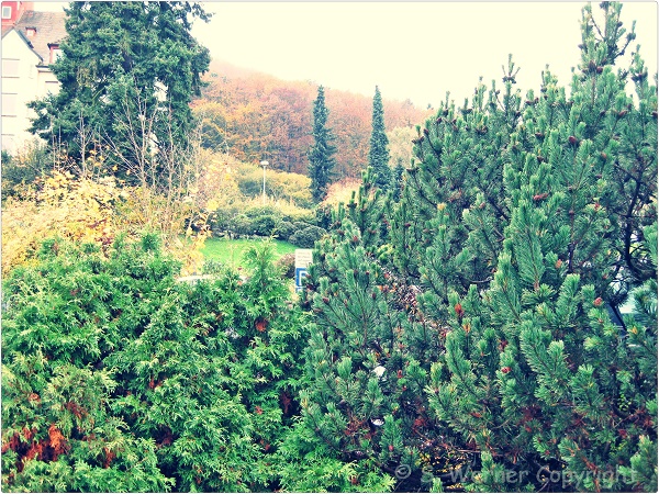 SpruchdesTages20.11.2014